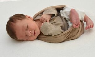 Nico Haberle Nico Haberle